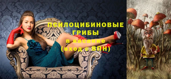 соль курить ск Богородицк