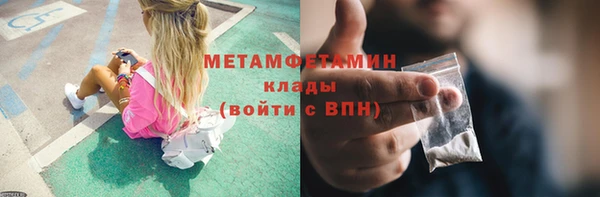 прущие грибы Одинцово