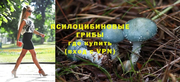 винт Богородск