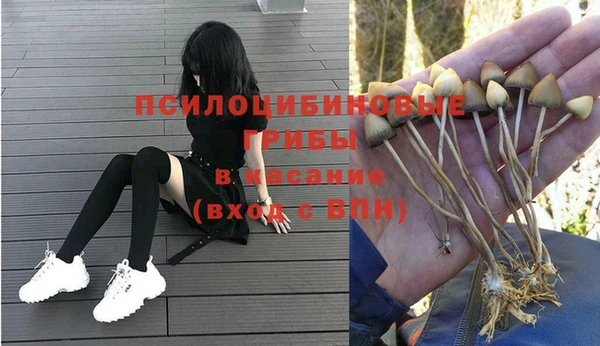 индика Беломорск
