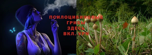 стаф Белоозёрский