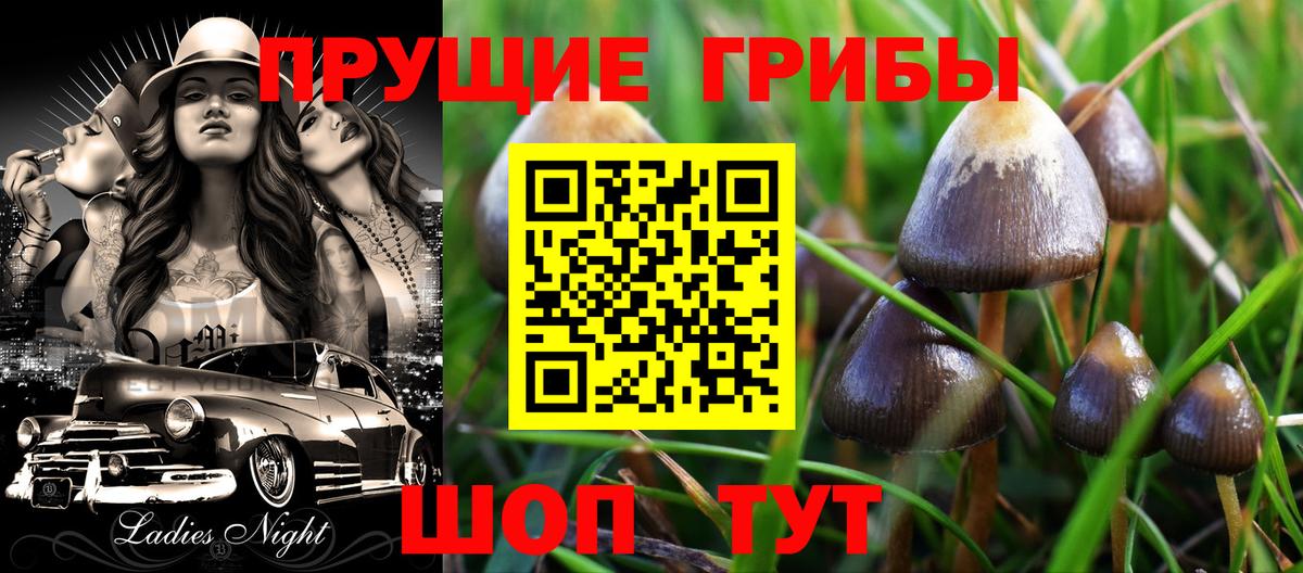 Псилоцибиновые грибы мицелий  Псилоцибиновые грибы Cubensis  Дальнегорск 