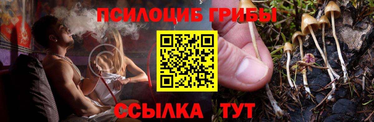 Галлюциногенные грибы ЛСД Дальнегорск
