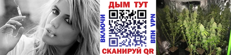 Бошки Шишки семена  Дальнегорск 
