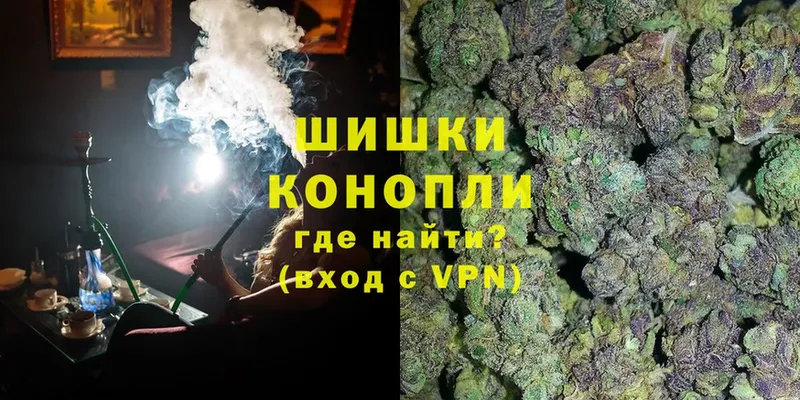 Шишки марихуана SATIVA & INDICA  как найти наркотики  Дальнегорск 