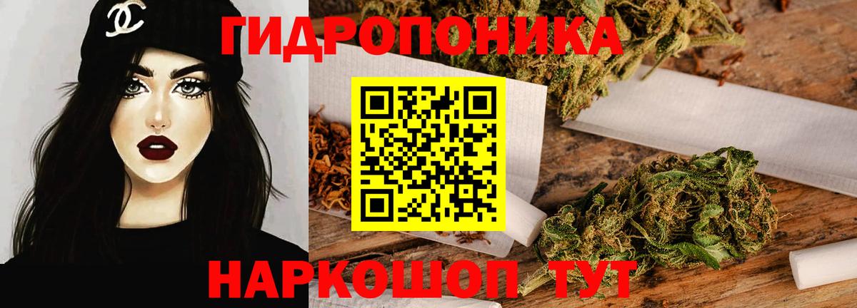 Марихуана планчик  Бошки марихуана индика  Шишки марихуана OG Kush  Дальнегорск 